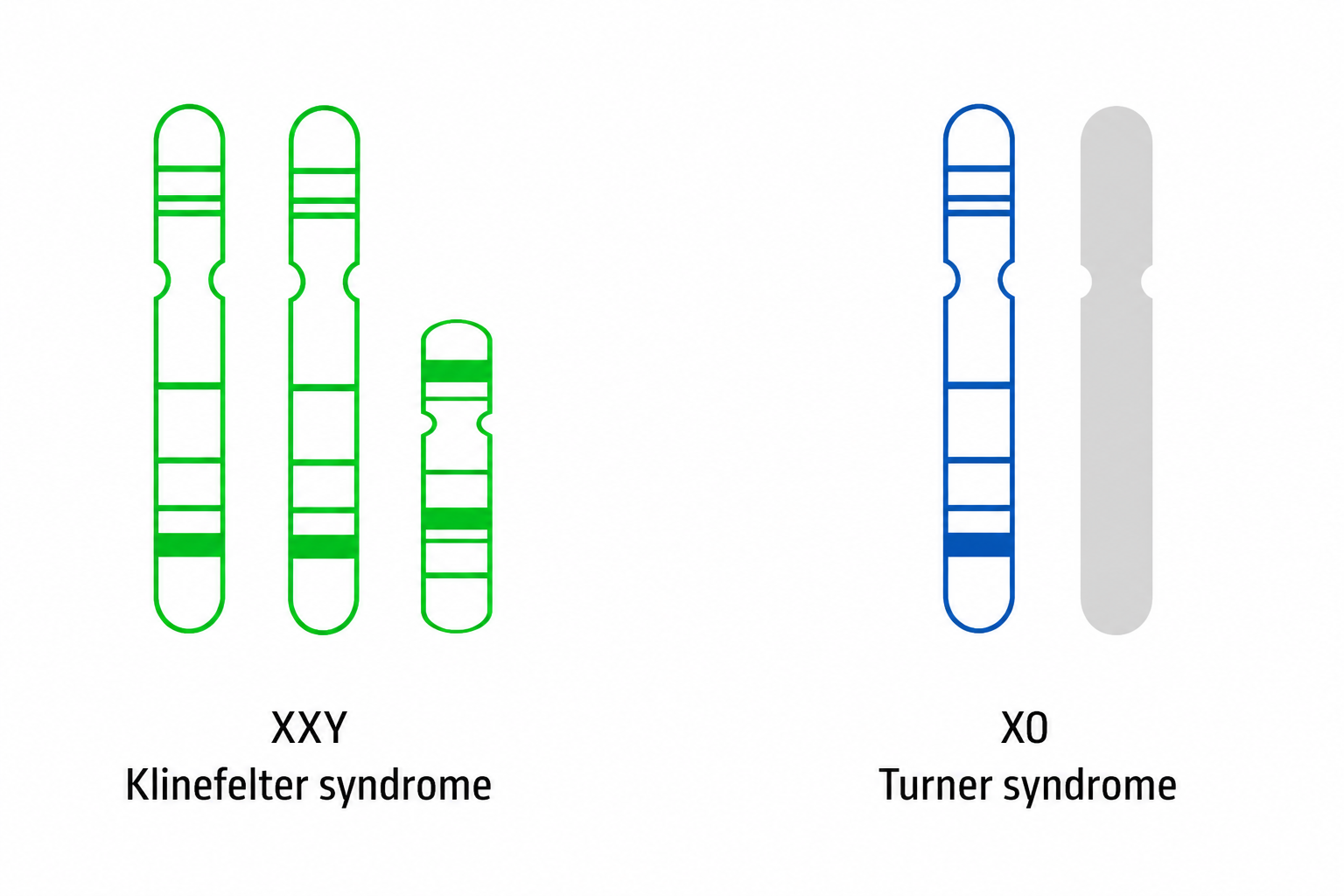 Information about X/Y chromosomal disorders