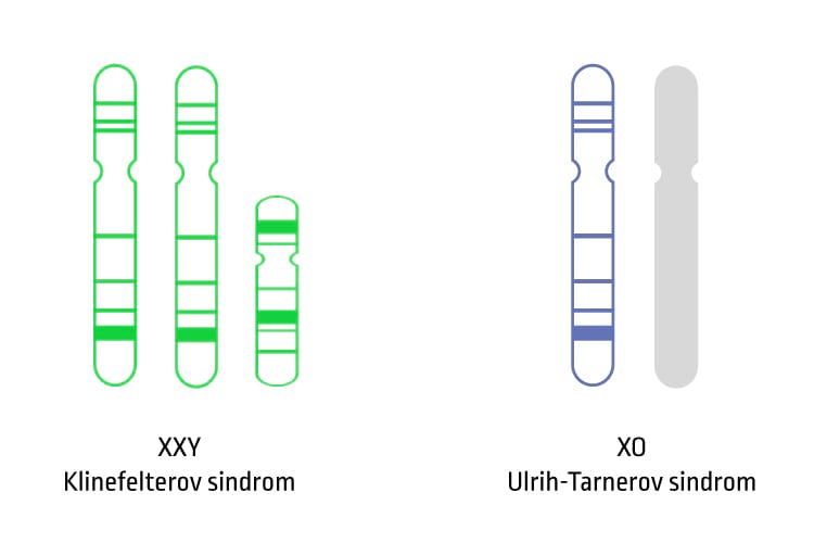 Information about X/Y chromosomal disorders